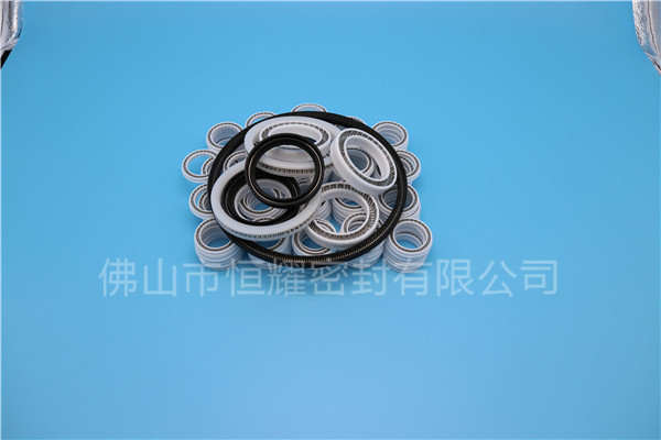 HOB、HVB孔用泛塞封 (7)