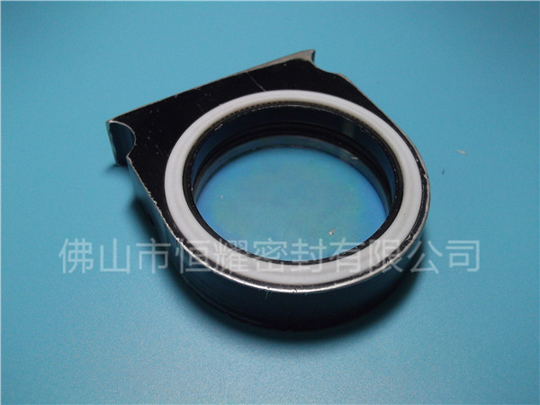 HVF、HVG端面內(nèi)、外向泛塞封 (2)