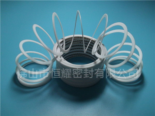 HVF、HVG端面內(nèi)、外向泛塞封 (7)