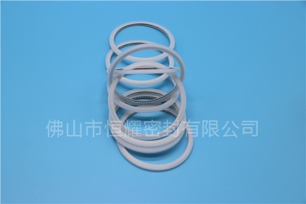 HVF、HVG端面內(nèi)、外向泛塞封 (15)