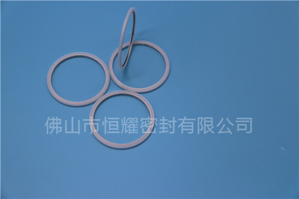 HVF、HVG端面內(nèi)、外向泛塞封 (20)