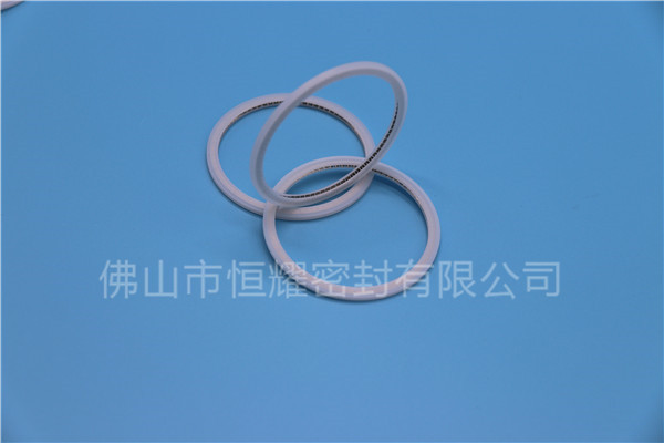 HVF、HVG端面內(nèi)、外向泛塞封 (21)