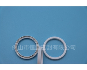 HOA、HVA軸用泛塞封 (16)