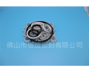 HOB、HVB孔用泛塞封 (6)