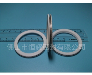 HVF、HVG端面內、外向泛塞封 (10)