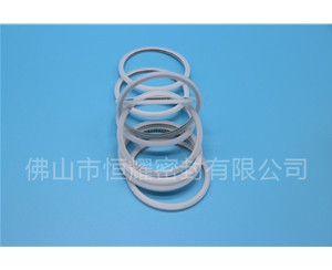 HVF、HVG端面內、外向泛塞封 (15)