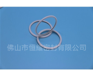 HVF、HVG端面內、外向泛塞封 (21)